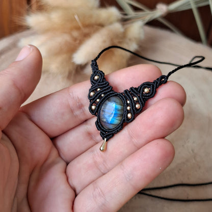 Collares DALIA