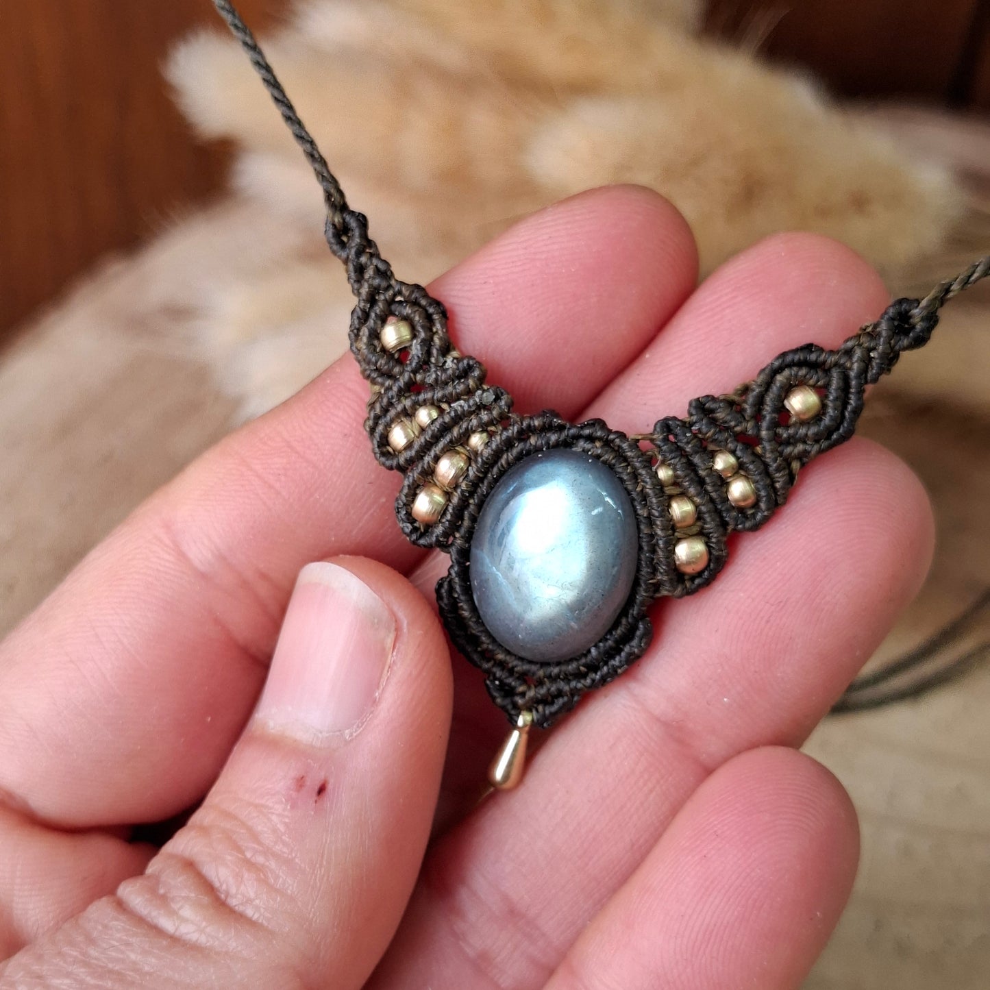 Collares DALIA